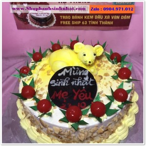 bánh sinh nhật đẹp bến cát