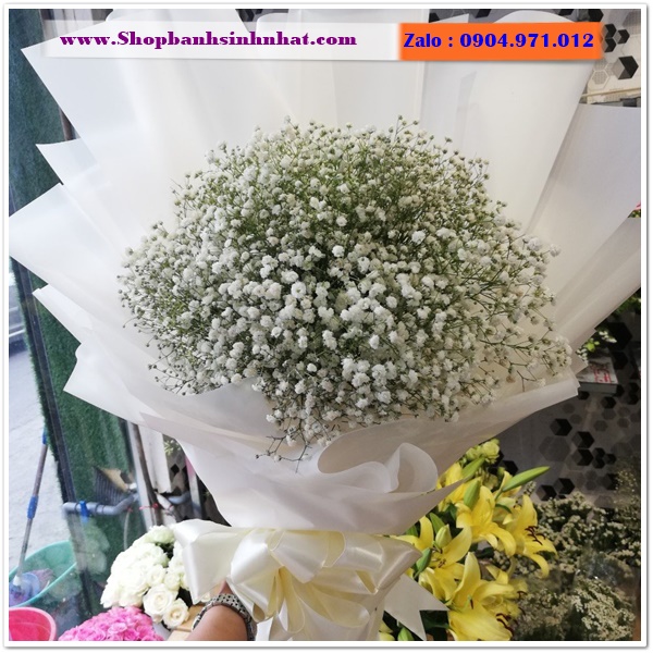 hoa tuoi o quan tan binh