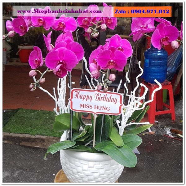 shop hoa tươi ở quảng ngãi