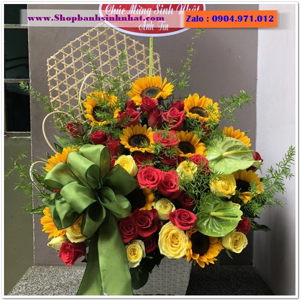 hoa tươi ở hòa bình
