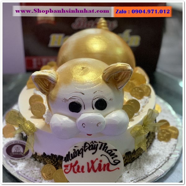 bánh kem con heo ở quận bình tân