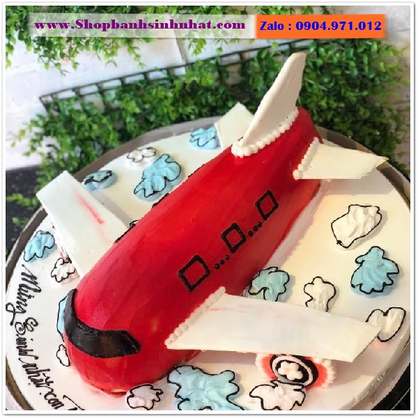 bánh kem máy bay ở cà mau