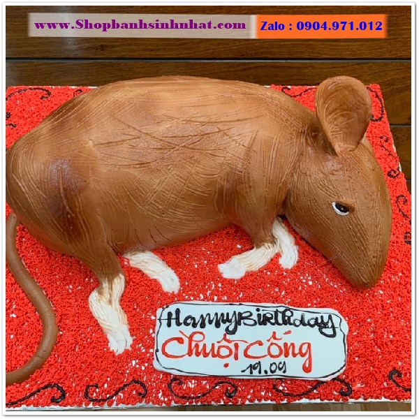 bánh kem con chuột ở quận tân bình