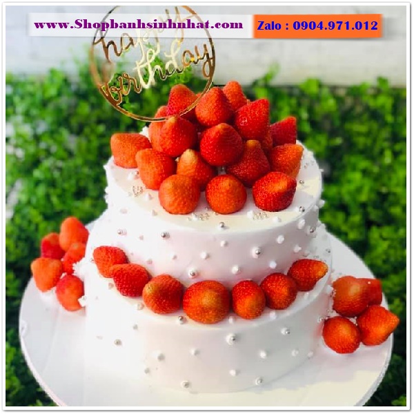 bánh kem trái cây ở bình định
